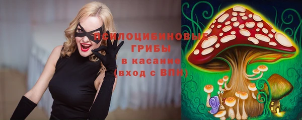 МДПВ Михайлов