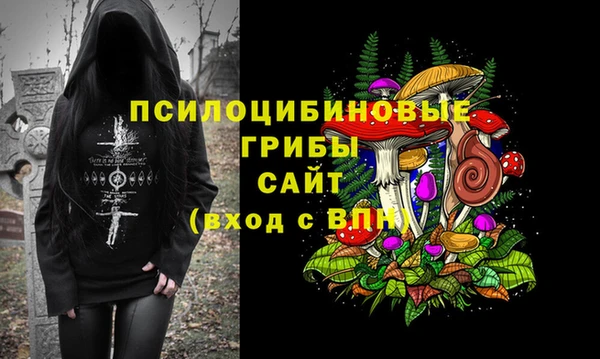 первитин Медвежьегорск
