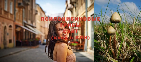 МДПВ Михайлов