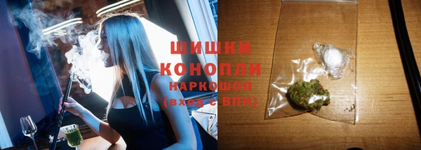 МДПВ Михайлов