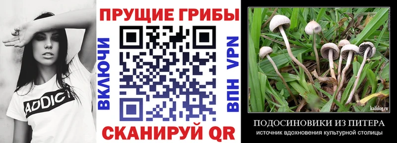 Псилоцибиновые грибы ЛСД  Прохладный 