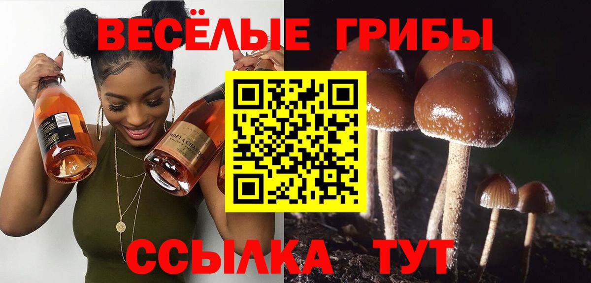 Псилоцибиновые грибы мухоморы Прохладный