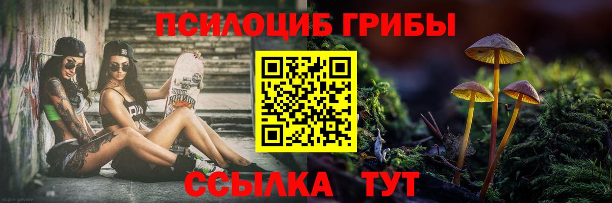 Галлюциногенные грибы GOLDEN TEACHER  Псилоцибиновые грибы ЛСД  Прохладный  Вход с VPN 