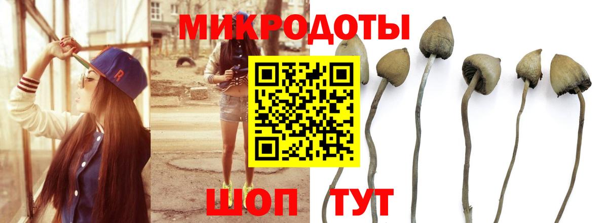 Галлюциногенные грибы MAGIC MUSHROOMS  где найти наркотики  Прохладный 
