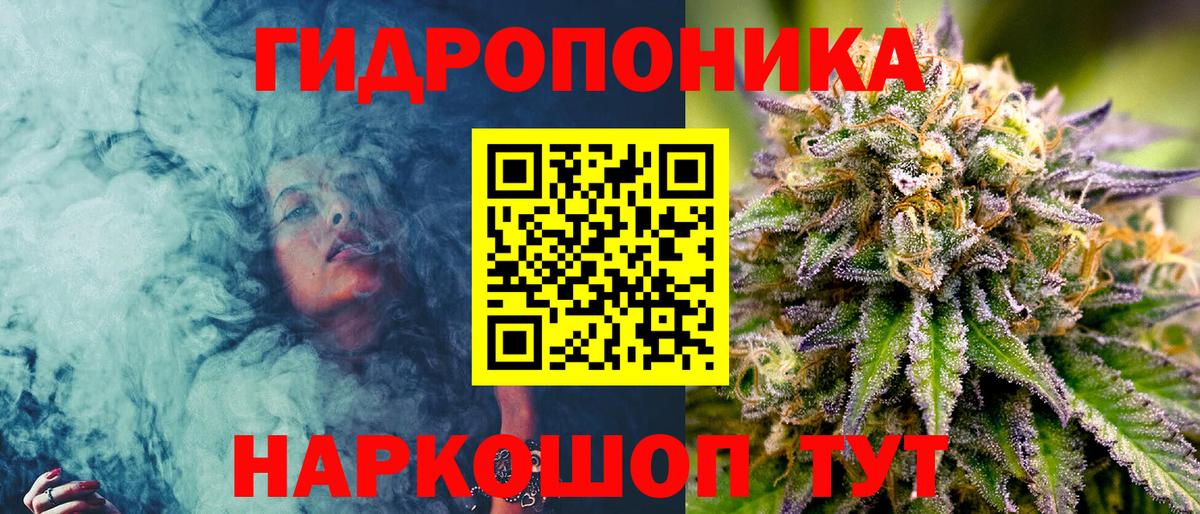 Каннабис индика Прохладный